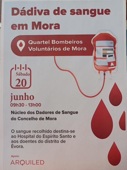 D&aacute;diva de Sangue em Mora